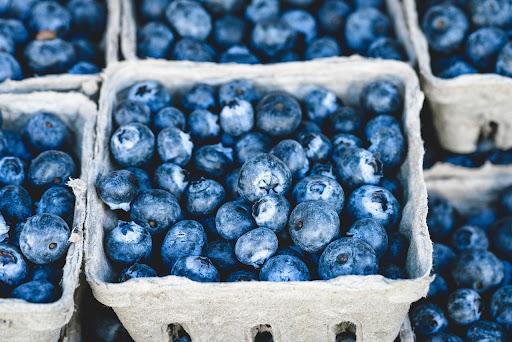 superfood blueberries 
