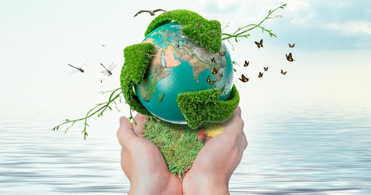 what living sustainably means