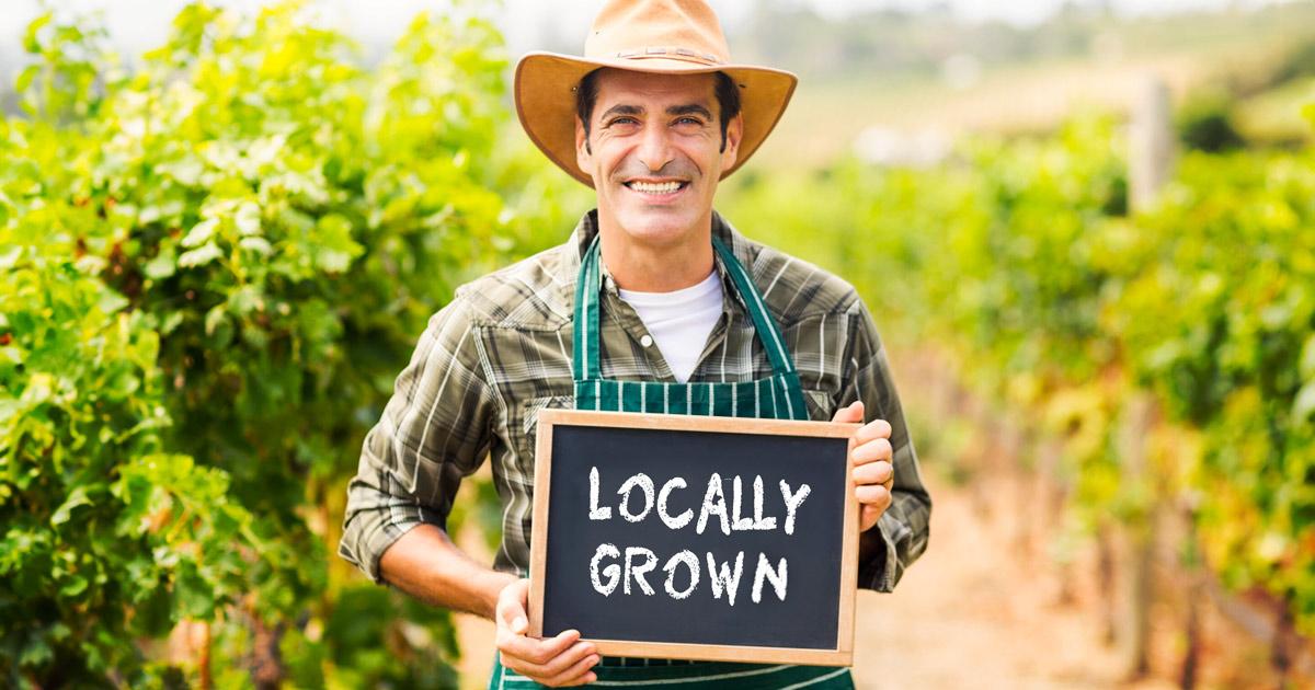 what is local sustainable food chain