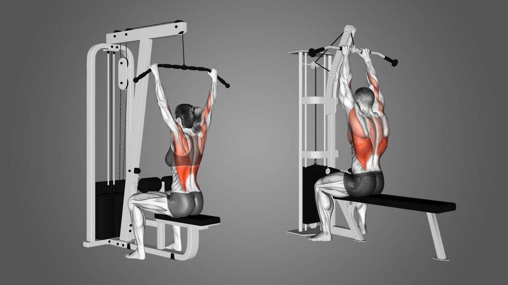 Lats Pulldown Machine