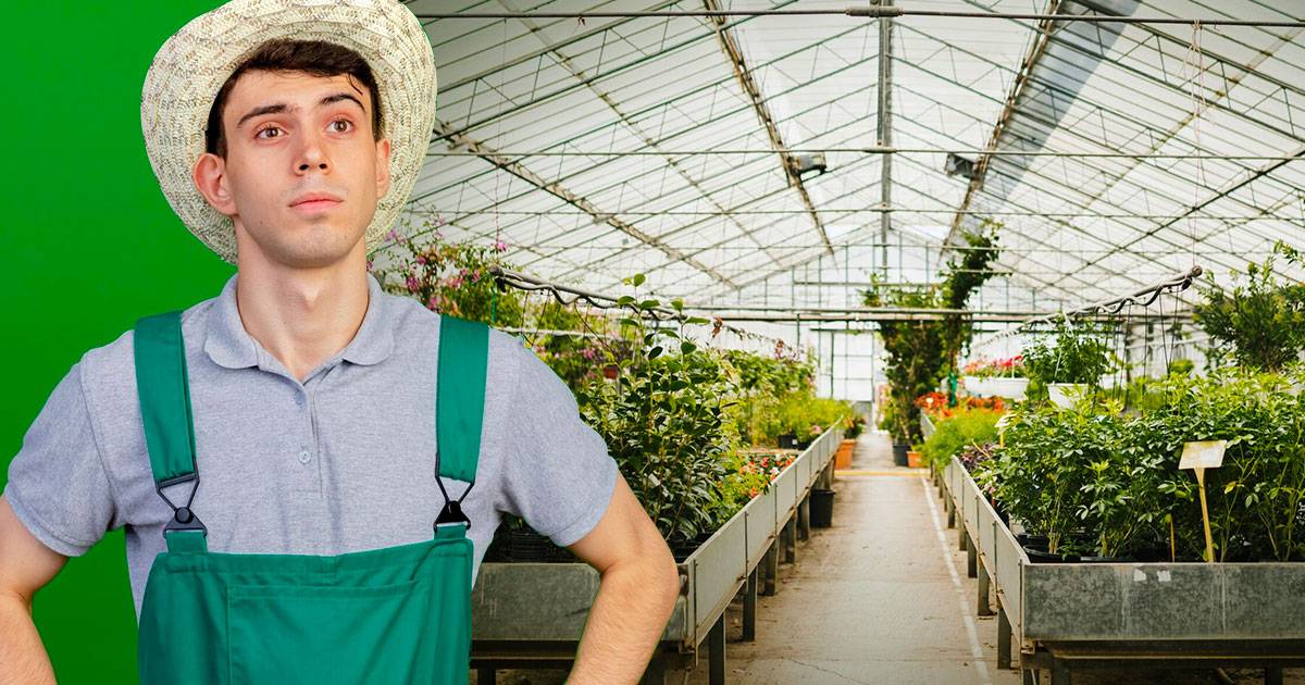 how-does-a-greenhouse-work