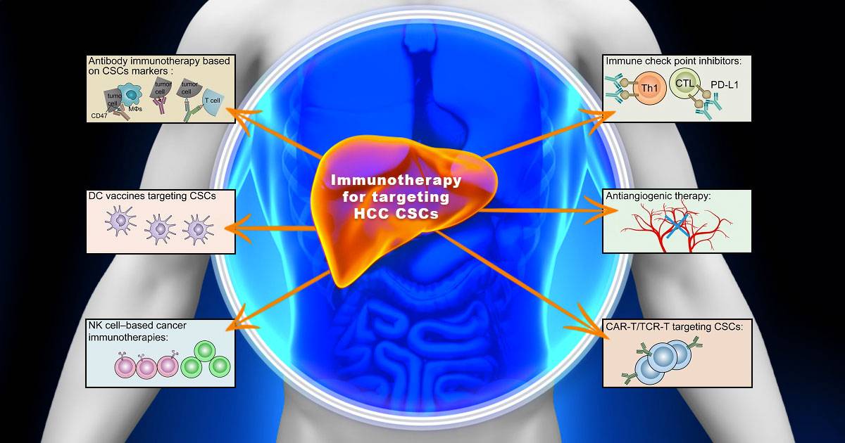 immunotherapy for liver cancer