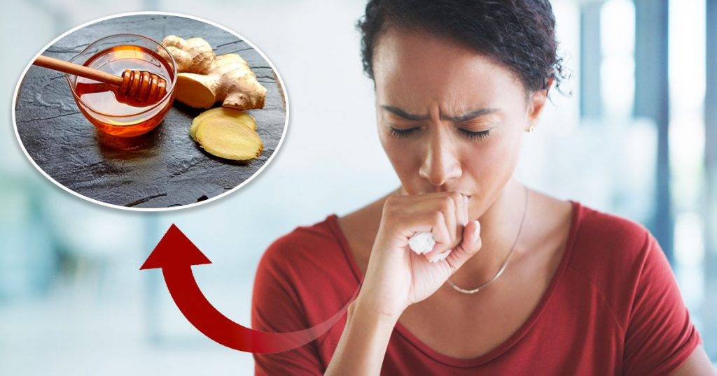 Ginger and Honey Mixture Recipe as Treatment for Cough