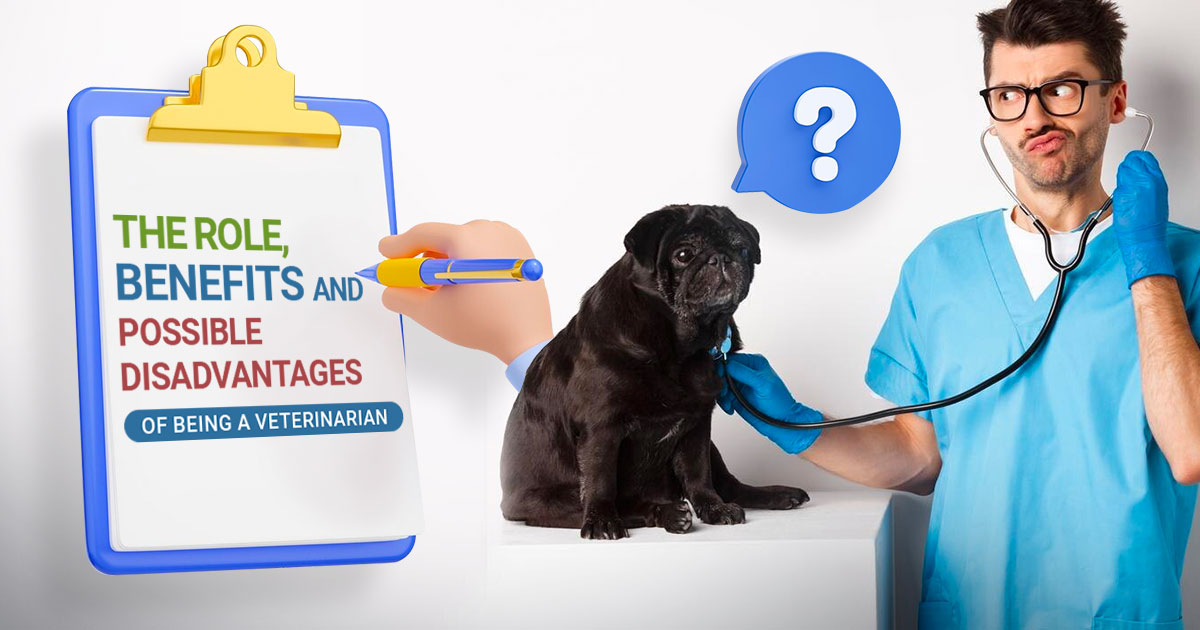 role benefits of veterinarian