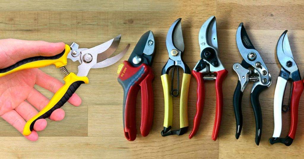 Pruning Shears Choosing the Best Types for Your Garden
