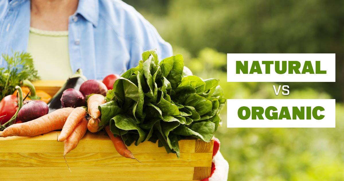 what is the difference between natural and organic food