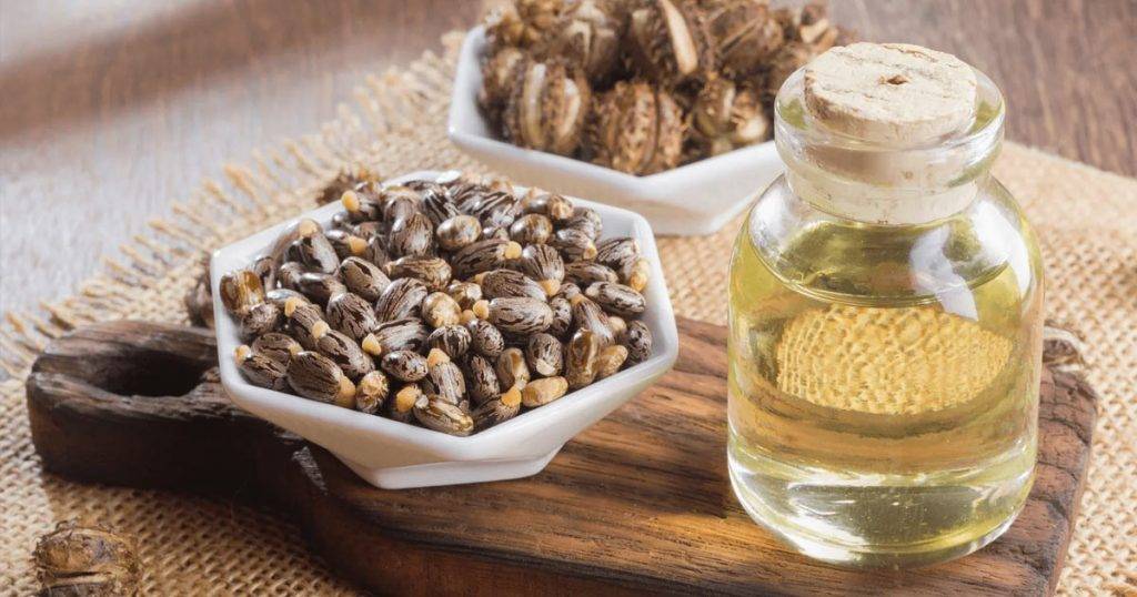 Sorting Fact from Fiction Castor Oil and Period Cramps