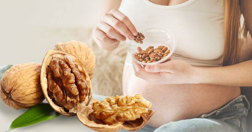 Walnuts in Pregnancy Balancing Benefits and Risks