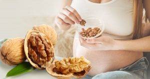 eating-walnuts-during-pregnancy
