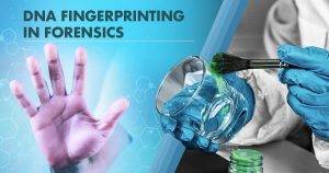 benefits-and-drawbacks-of-dna-fingerprints