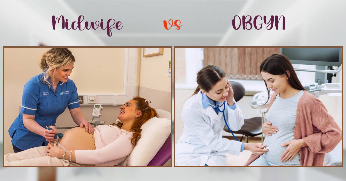midwife vs obgyn