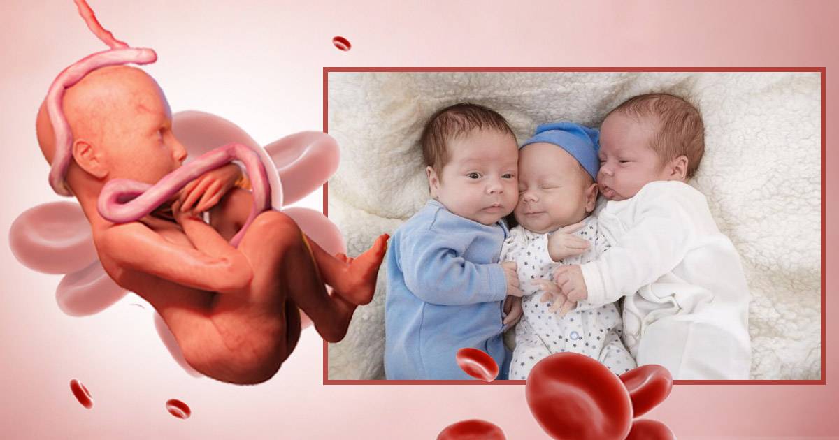 cord blood for siblings