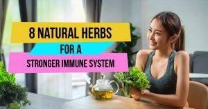 herbs-for-immune-system