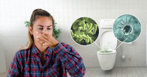 toilet seat infections